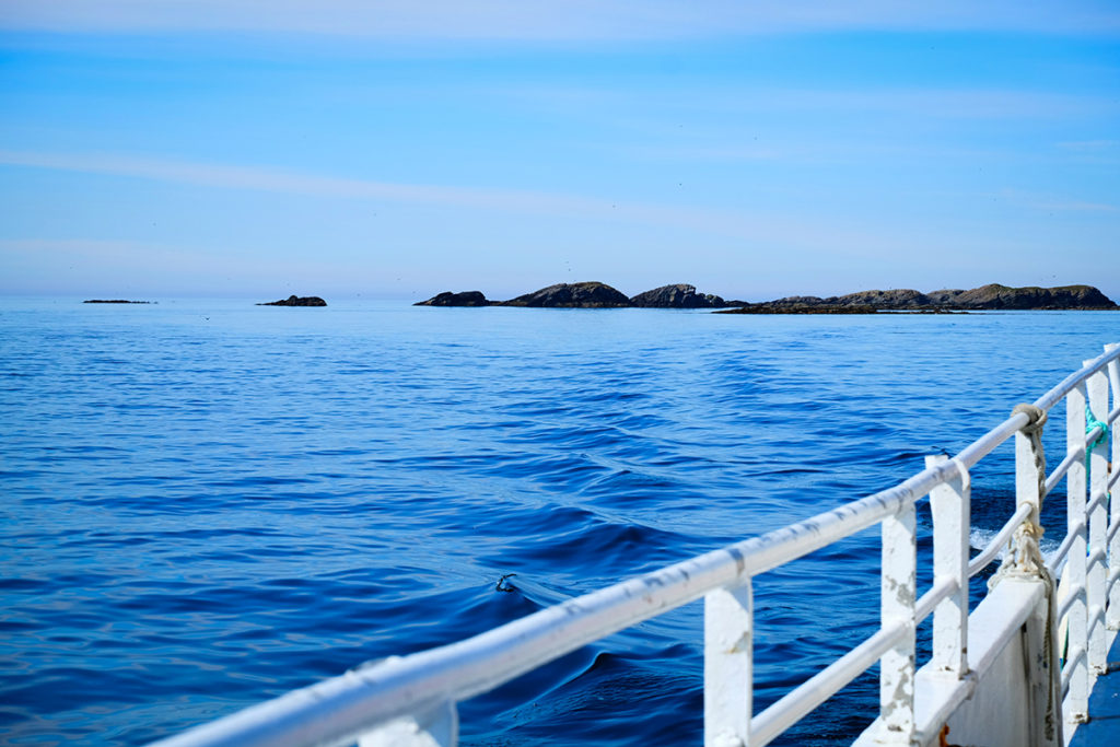 From the ferry to Skomvær fyr